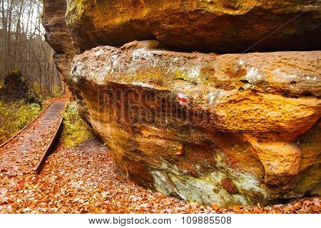 Sandstone Rock After Rain