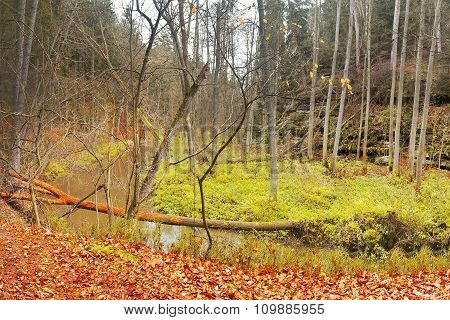 'robecsky Potok' Creek In 'peklo' Valley After Rain In The Autumnal Afternoon