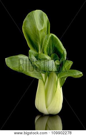 Pak Choi On Black
