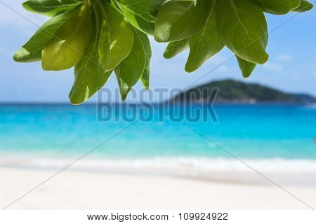 Sea And Beach For Background.