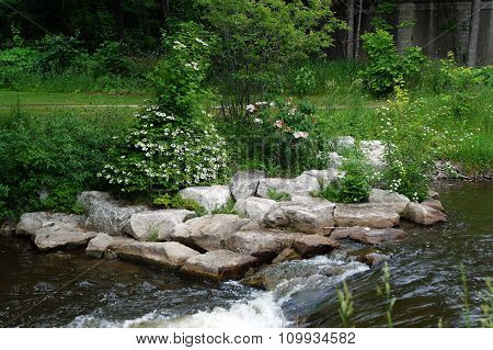 Banks of the Bear River