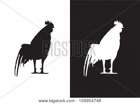 Cock, chicken, rooster - silhouette vector- Stock Illustration