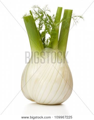 Fresh fennel bulb isolated on white background close up