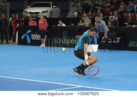 Grigor Dimitrov Defeated Monfils In A Demonstrative Match In Arena Armeec Hall, Sofia