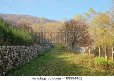 autumnal path around Cartolari Lake in Nebrodi Park, Sicily 