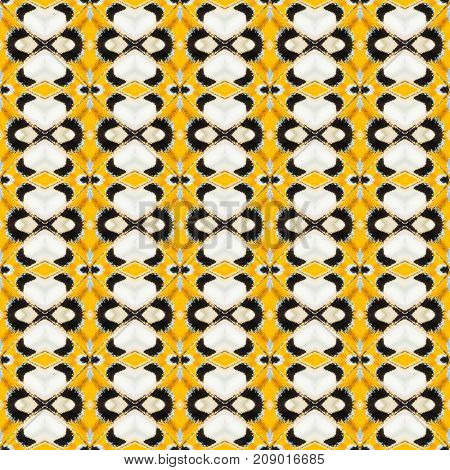 Background Created From Part Of Butterfly Wings
