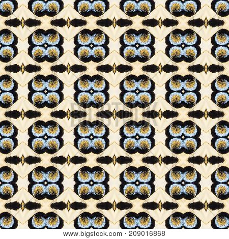 Background Created From Part Of Butterfly Wings