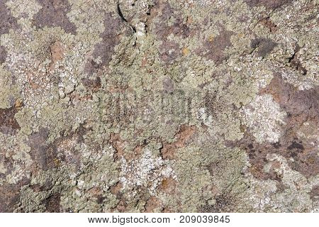 Old grey and brown rough stone wall with lichen closeup texture background selective focus shallow DOF.