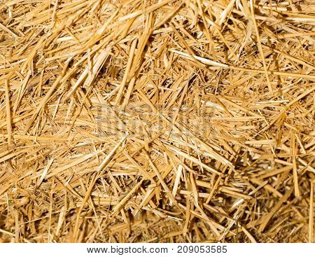 background of dry hay . Photo of abstract background