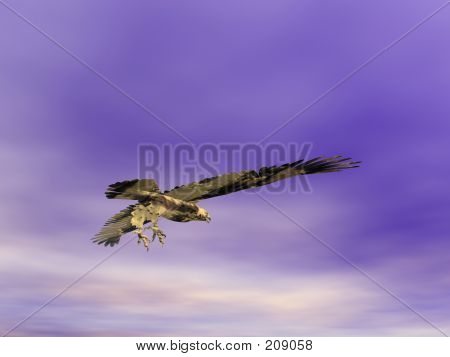 Парящий орел