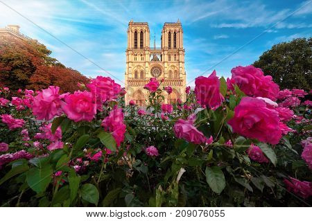 Notre-dame Cathedral In Paris France With Roses