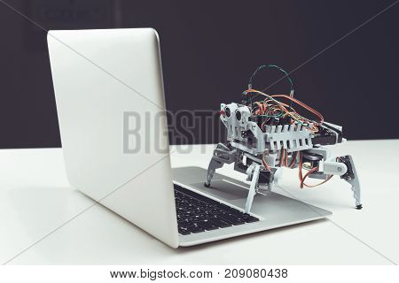 Robot close up. He is standing on a gray laptop and watching his cameras on the monitor.