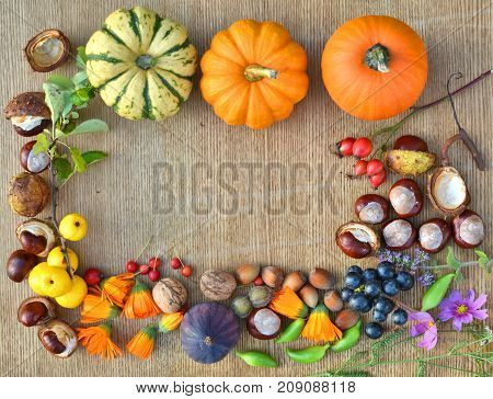 Autumn Frame Made Of Pumpkins, Fruits And Nuts