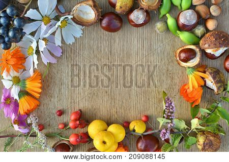 Autumn Frame Made Of Flowers, Fruits And Nuts