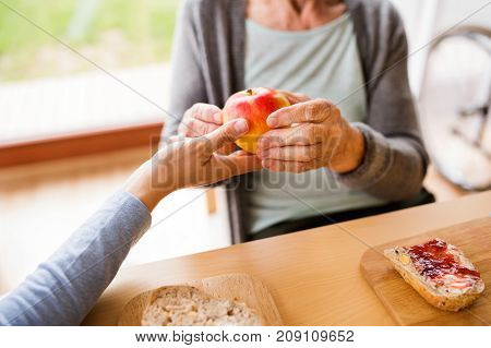 Unrecognizable health visitor and a senior woman during home visit. A nurse giving an apple to an elderly woman sitting at the table. Close up.
