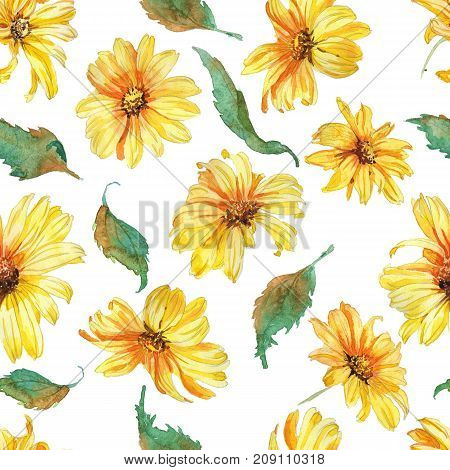 Hand drawn watwrcolor Summer flowers chamomile botany style seamless pattern