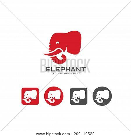 Elephant head icon and logo vector, elephant Identity logo design template for your company, Vector illustration