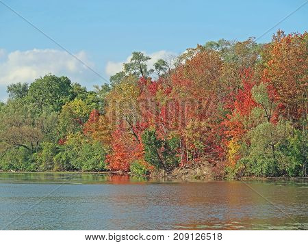 A variety of trees make for a colorful autumn at the edge Newburg Lake in Livonia Michigan.