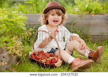 Adorable little girl with the basket full of stawberry. Horizontal natural light photo.