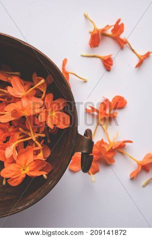 Closeup of vibrant orange crossandra flowers also known as Aboli flowers in India, over white or black background, selective focus