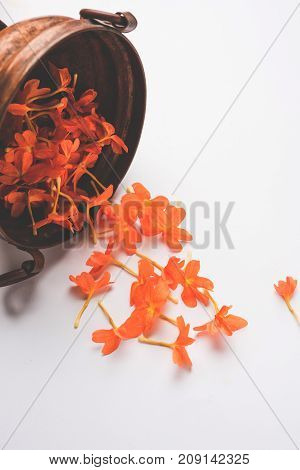 Closeup of vibrant orange crossandra flowers also known as Aboli flowers in India, over white or black background, selective focus