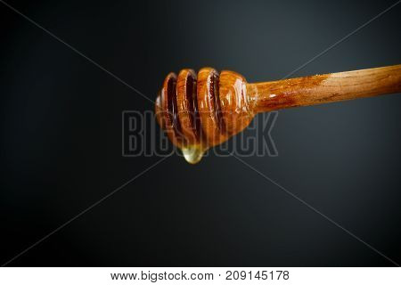 Honey stick, dipper. Dripped honey. Honey natural healthy food production