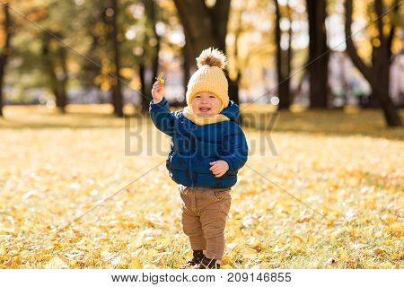 happy little boy in the sun in autumn, in the foliage and yellow cute hat holding a leaf of a tree