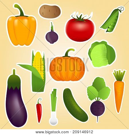 Healthy Vegetables