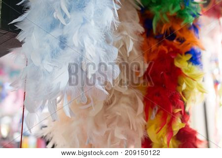 Beautiful bird feathers for a decorative purposes