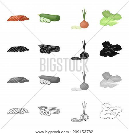 Vitamins, diet, food, cafe and other  icon in cartoon style.Meat, pork, veal, beef icons in set collection