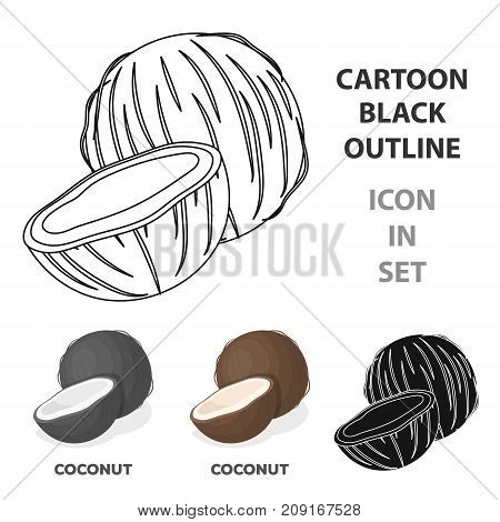 Coconat.Different kinds of nuts single icon in cartoon style vector symbol stock web illustration.