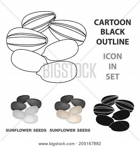 Sunflower seeds.Different kinds of nuts single icon in cartoon style vector symbol stock web illustration.