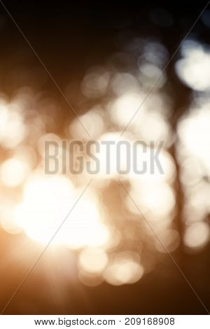 Colorful bokeh background. abstract blurred circles in nature colors. Copyspace for design and text