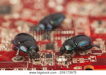 Bugs on a computer chip. Virus attack.