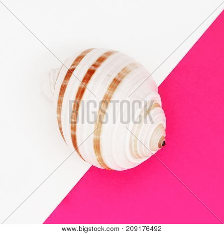 Minimal Style. Flat Lay. A Minimalistic Fashion Photo. Pop Art. A Colorful Simple Photograph Of Sea