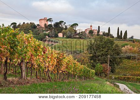 Faenza, Ravenna, Emilia Romagna, Italy: landscape at sunrise of the countryside with vineyards and the medieval tower of the village Oriolo dei Fichi