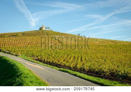 "La Madone" hill of Fleurie village at fall season