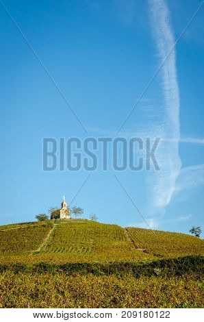 "La Madone" hill of Fleurie village at fall season