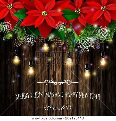 Christmas decoration and greeting card with evergreen trees with poinsettia christmas lights isolated on wooden wall Vector