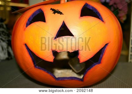 Zucca pipistrello