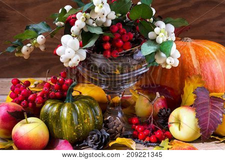 Fall Background With Snowberry And Rowan Arrangement