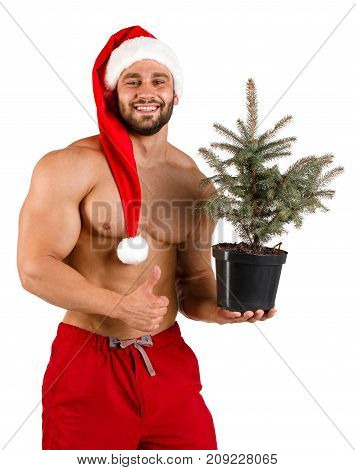 Strong and curves naked smiling man dressed as Santa Claus with Christmas tree in his hand and red hat, isolated, white background