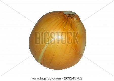 onion on white background The ingredients in the food such as omelet, Yum soup, soup.