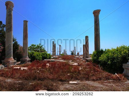 Remains of ancient columns at Al Mina excavation site at Tyre in Lebanon