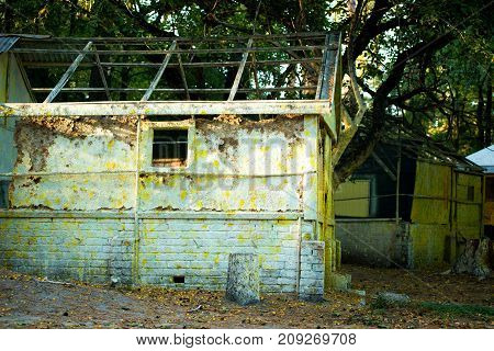 Old wooden ruined house is yellow. Rural abandoned hut. Abandoned house.