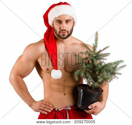 Serious strong man dressed as Santa Claus with green Christmas pot tree in his hand isolated and red and white hat, white background, alone. White background