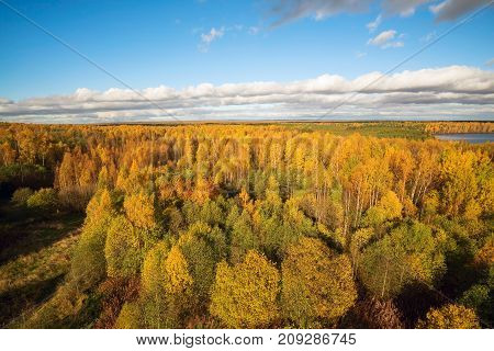 White clouds above the yellow trees, the view from the height . Autumn landscape .