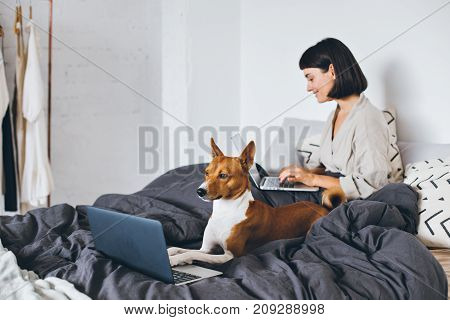Funny adorable cute concept of woman working on laptop from her home bed and her pet dog with serious face typing with paws on keyboard of notebook computer