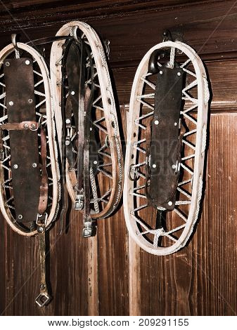 Vintage wooden snowshoes hanging on the wall in mountain cottage.