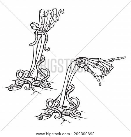 Halloween design elements. Pair of skeleton hands pointing with a finger and holding a banner. linear drawing isolated on white background. EPS10 vector illustration